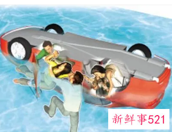梦见开车掉水里寓意