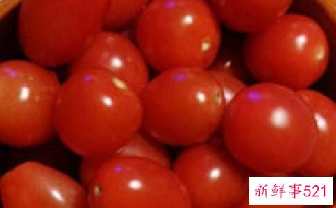 番茄细菌性斑疹病症状和防治方法