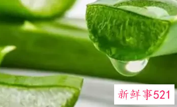 新鲜芦荟怎么处理敷脸