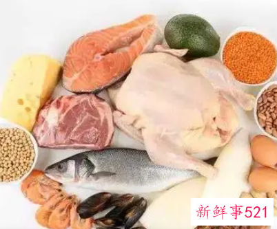 高蛋白饮食危害
