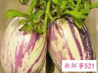 女人常吃三种食物对皮肤好