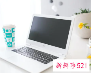 个人履历表内容