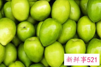 青枣有什么营养价值