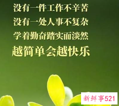 团队早安问候语正能量有哪些