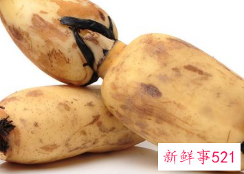 藕短粗的好还是细长的好