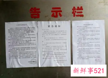 告示类文章格式