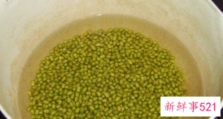 百合绿豆汤怎么做