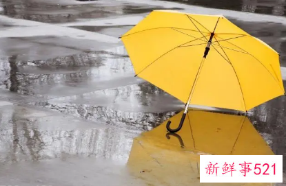 梦见和老婆一起避雨