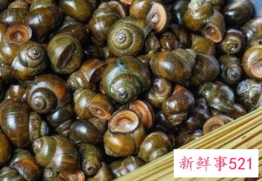 田螺要煮多长时间