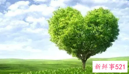 你认为如何做有助于心理健康