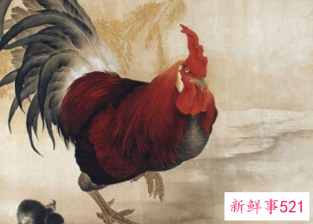 生肖鸡适合发展的城市