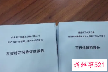 可行性报告范文精简版