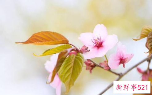 恋爱中如何维持感情