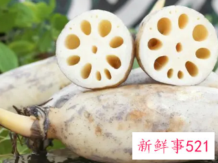 莲藕的种植技术