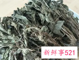 车前草晒干可以直接泡水喝吗