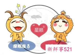 摩羯狮子配对指数