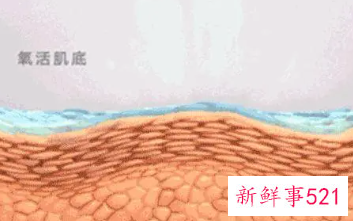 面部的抗衰知识