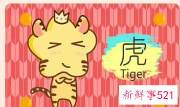 属虎穿啥颜色衣服旺财