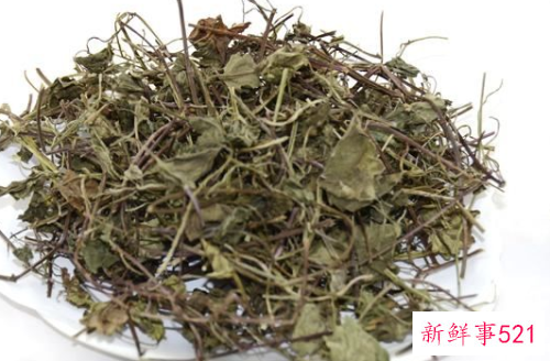 双金钱草的功效与作用
