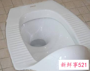 蹲便器和坐便器优缺点