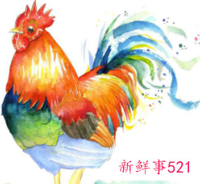 生肖鸡适合戴绿松石吗