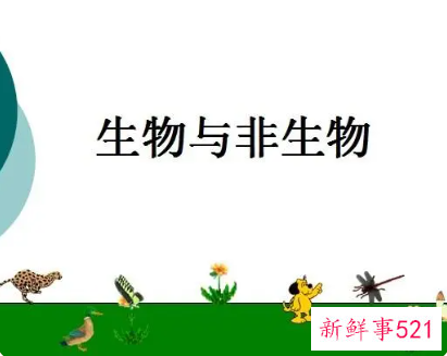 生物和非生物的区别有哪些