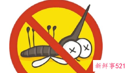 安全有效驱蚊的方法有哪些