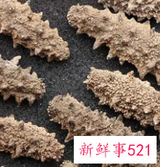 海参花胶小米粥功效和作用