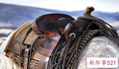 梦见穿马具是什么意思