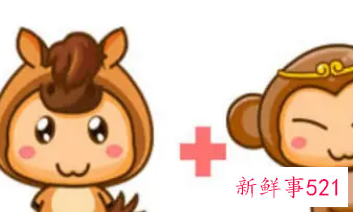 属猴和属马的合不合