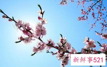 如何斩断自己的烂桃花