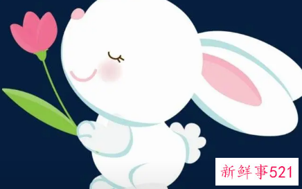 小兔子吉布寻找睡眠睡前故事