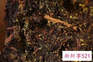 长期饮用黑茶有好处吗