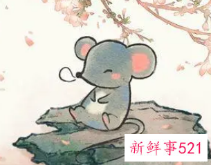 一生旺属鼠的微信昵称名字