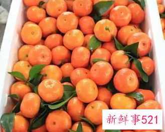 吃沙糖桔的好处和坏处