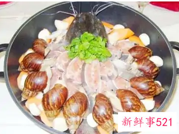 蜗牛是益虫还是害虫