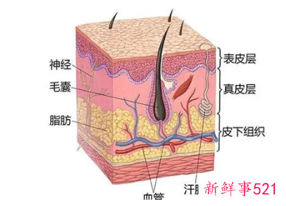 身上皮肤干燥起皮的原因