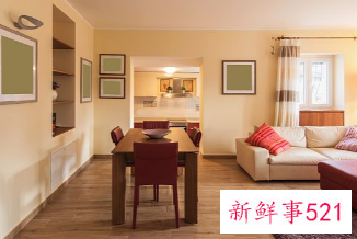 客厅大了摆什么东西好看