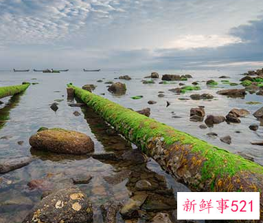 梦见水坑里的水很浑浊