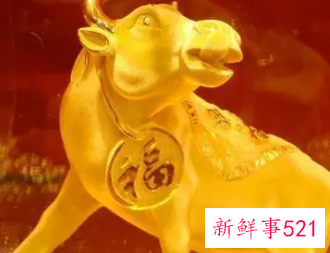 生肖牛的人适合买几楼