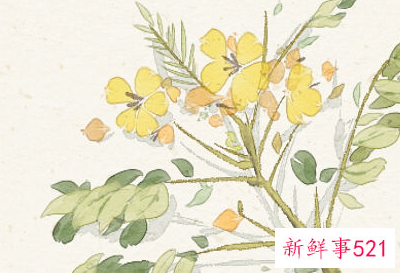 梦见拉一大堆屎是什么意思