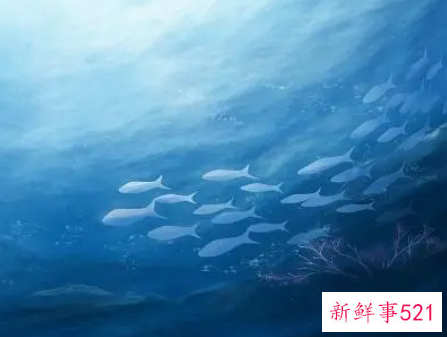 梦见被困在海底