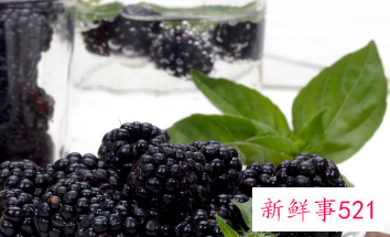 桑葚泡水喝的功效与副作用