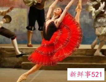 十二星座芭蕾舞鞋和裙子