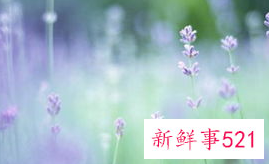 小孩子学跆拳道真的好吗