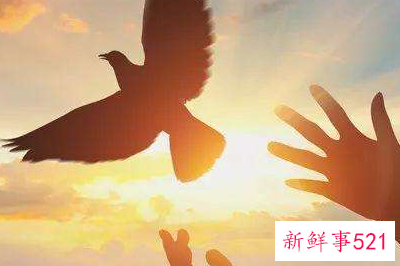 工作期望及努力方向怎么写