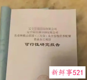 可行性报告范文精简版