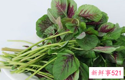 苋菜的药用功效与作用