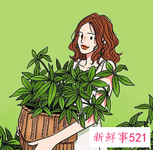 女为悦己者容男为什么