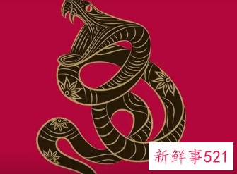 蛇的幸运生肖是哪个生肖